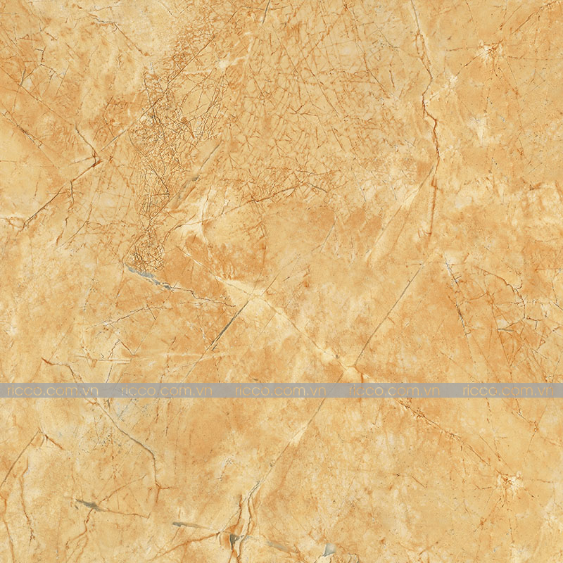 Gạch lát nền Trung Quốc 90x90 TLD09601